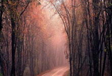 维尼修斯：进球让我感到一丝释然，希望这能成为转折点.