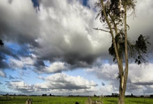 入选U16国青！广东又现天赋后卫 杜锋未来不愁无人可用.