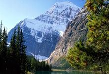 蓝鲸体育官网：张雨霏，决定参加2028洛杉矶奥运会！扬子晚报.