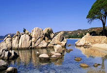 蓝鲸体育官网：有惊无险！沙特第38分钟破门，手球在先被判无效.